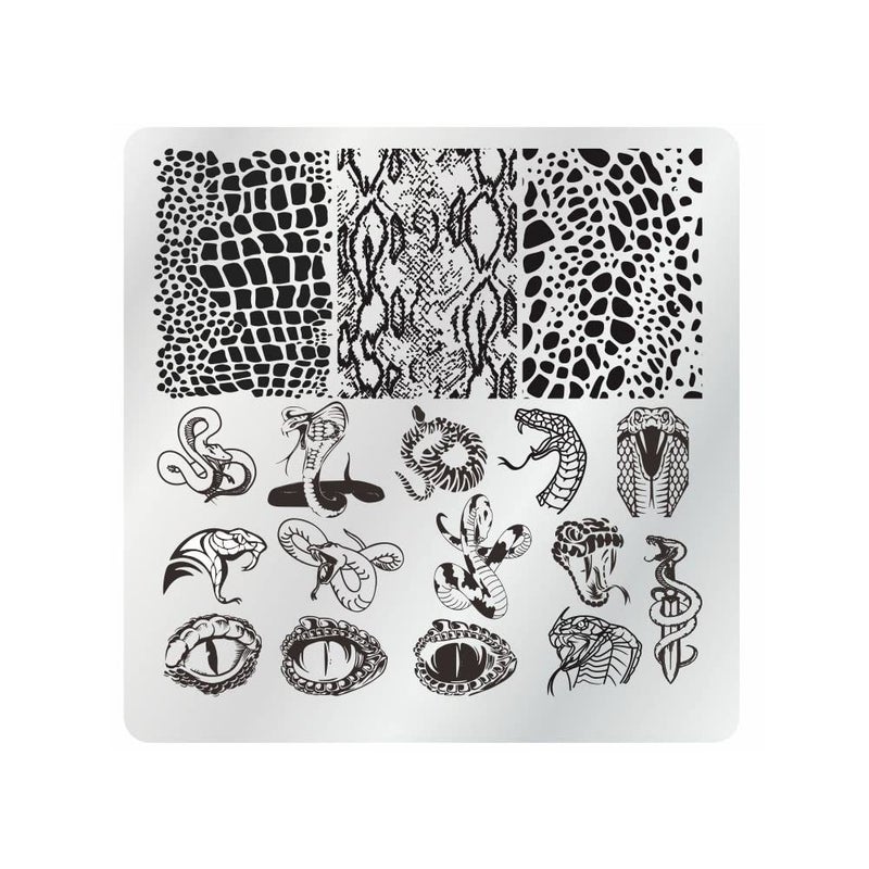 VNC 15Pcs Nail Stamping Plates Set 12pcs Nail Plates 1 nail art stamper 1scraper 1storage bag Nail Art plate Template Image Plate Stencil Set - Image 5